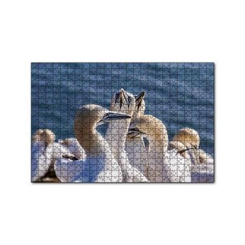 Cakapuzzle Deniz ve Sümsük Kuşları 120 Parça Ahşap Puzzle