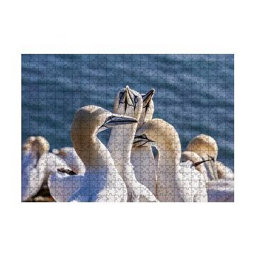 Cakapuzzle Deniz ve Sümsük Kuşları 120 Parça Ahşap Puzzle