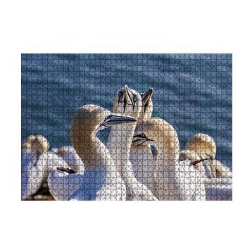 Cakapuzzle Deniz ve Sümsük Kuşları 120 Parça Ahşap Puzzle