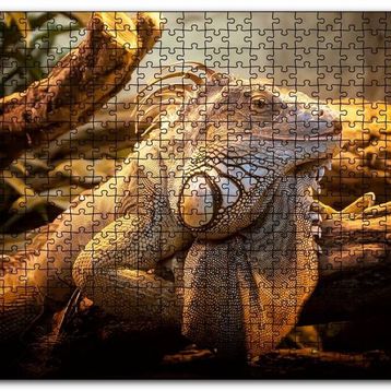 Cakapuzzle Dev Kertenkele ve Güneş Işıkları Mdf 120 Parça Puzzle