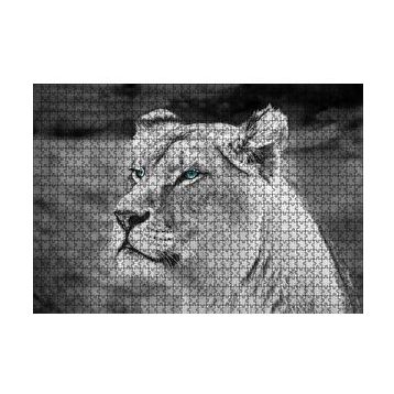 Cakapuzzle Dişi Aslan Monochrome 120 Parça Ahşap Puzzle