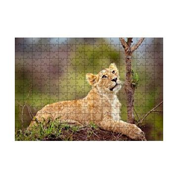 Cakapuzzle Dişi Genç Aslan 120 Parça Ahşap Puzzle