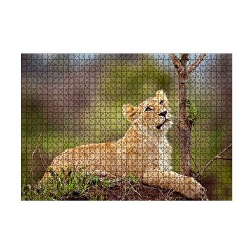 Cakapuzzle Dişi Genç Aslan 120 Parça Ahşap Puzzle
