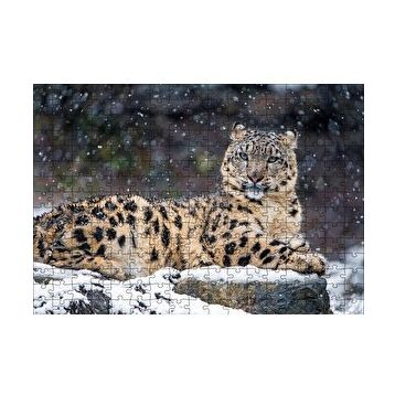 Cakapuzzle Dişi Kar Leoparı 120 Parça Ahşap Puzzle
