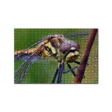 Cakapuzzle Dişi Yusufçuk Makro Çekim 120 Parça Ahşap Puzzle
