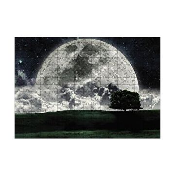 Cakapuzzle Doğa Gecede Ay Güzelliği 120 Parça Ahşap Puzzle