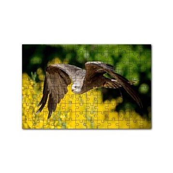 Cakapuzzle Doğada Alçakta Uçan Şahin Görseli 120 Parça Ahşap Puzzle