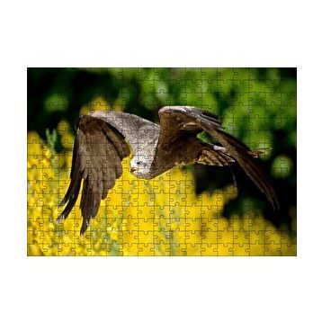 Cakapuzzle Doğada Alçakta Uçan Şahin Görseli 120 Parça Ahşap Puzzle