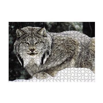 Cakapuzzle Doğada Kanada Vaşağı 120 Parça Ahşap Puzzle
