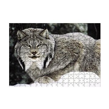 Cakapuzzle Doğada Kanada Vaşağı 120 Parça Ahşap Puzzle