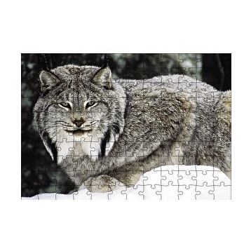 Cakapuzzle Doğada Kanada Vaşağı 120 Parça Ahşap Puzzle
