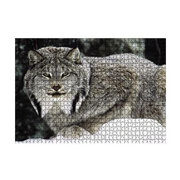 Cakapuzzle Doğada Kanada Vaşağı 120 Parça Ahşap Puzzle
