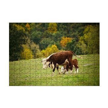 Cakapuzzle Doğada Öküz Ve Dana Koşturmacası Görseli 120 Parça Ahşap Puzzle
