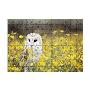 Cakapuzzle Doğada Peçeli Baykuş 120 Parça Ahşap Puzzle