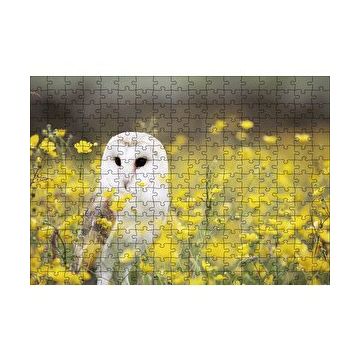 Cakapuzzle Doğada Peçeli Baykuş 120 Parça Ahşap Puzzle