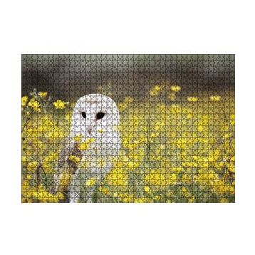 Cakapuzzle Doğada Peçeli Baykuş 120 Parça Ahşap Puzzle