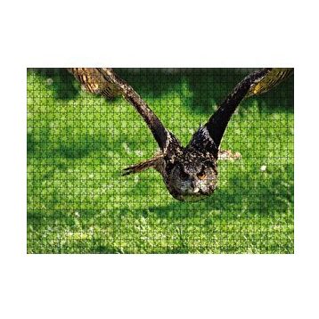 Cakapuzzle Doğada Üçan Baykuş 120 Parça Ahşap Puzzle