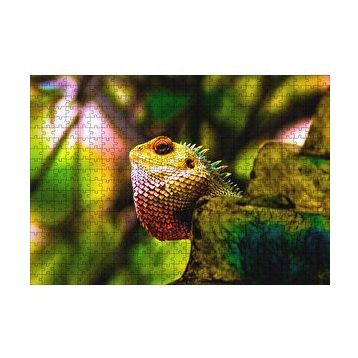 Cakapuzzle Doğal Yaşamda İguana 120 Parça Ahşap Puzzle