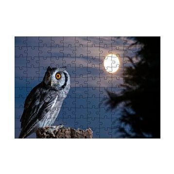 Cakapuzzle Dolunay ve Kütüğün Üzerindeki Baykuş 120 Parça Ahşap Puzzle