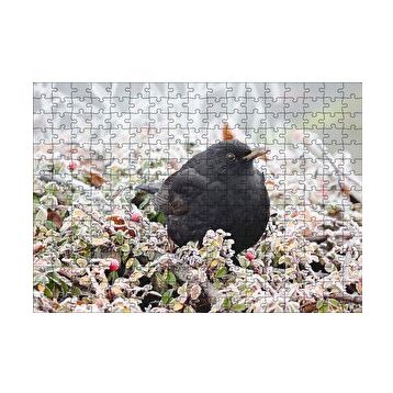Cakapuzzle Donmuş Çalıların Arasındaki Karatavuk 120 Parça Ahşap Puzzle