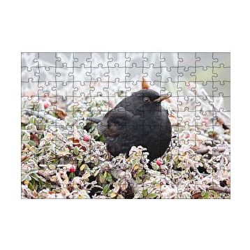 Cakapuzzle Donmuş Çalıların Arasındaki Karatavuk 120 Parça Ahşap Puzzle