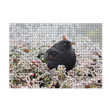 Cakapuzzle Donmuş Çalıların Arasındaki Karatavuk 120 Parça Ahşap Puzzle