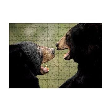 Cakapuzzle Dövüşen Kahverengi Ayılar Yakın Çekim 120 Parça Ahşap Puzzle