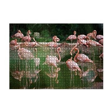 Cakapuzzle Durgun Gölde Beslenen Flamingolar 120 Parça Ahşap Puzzle