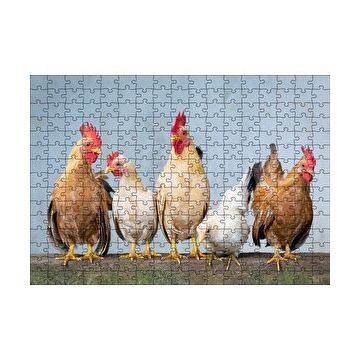 Cakapuzzle Duvarın Üstünde Kahverengi Beyaz Tavuklar 120 Parça Ahşap Puzzle