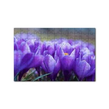 Cakapuzzle Eflatun Renkli Çiçekler Yakın Çekim 120 Parça Ahşap Puzzle