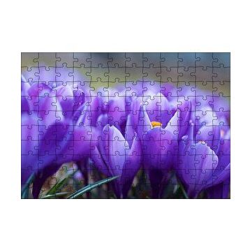 Cakapuzzle Eflatun Renkli Çiçekler Yakın Çekim 120 Parça Ahşap Puzzle