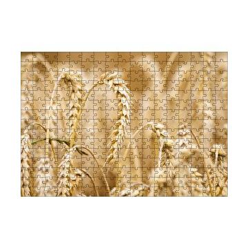Cakapuzzle Eğilmiş Buğday Başakları Yakın Çekim 120 Parça Ahşap Puzzle