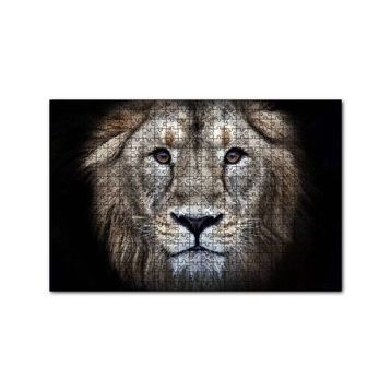 Cakapuzzle Erkek Aslan Siyah Zemin 120 Parça Ahşap Puzzle