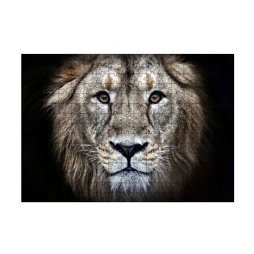 Cakapuzzle Erkek Aslan Siyah Zemin 120 Parça Ahşap Puzzle