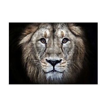 Cakapuzzle Erkek Aslan Siyah Zemin 120 Parça Ahşap Puzzle