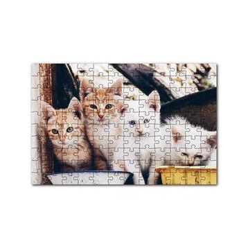 Cakapuzzle Eski Pencerede Sarı ve Beyaz Yavru Kediler 120 Parça Ahşap Puzzle