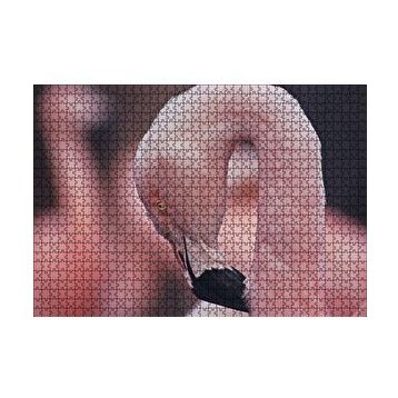 Cakapuzzle Flamingonun Zarafeti 120 Parça Ahşap Puzzle