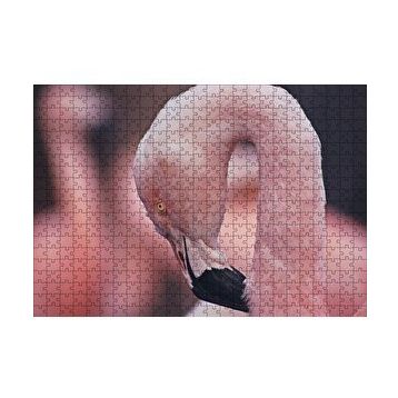 Cakapuzzle Flamingonun Zarafeti 120 Parça Ahşap Puzzle
