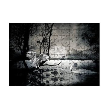 Cakapuzzle Gecede Balıkçı Kuşları Göl 120 Parça Ahşap Puzzle