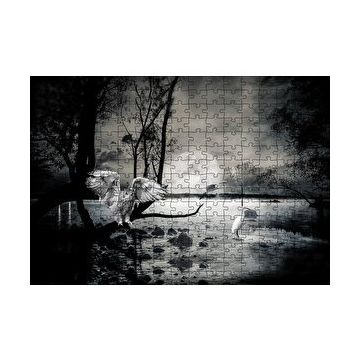 Cakapuzzle Gecede Balıkçı Kuşları Göl 120 Parça Ahşap Puzzle
