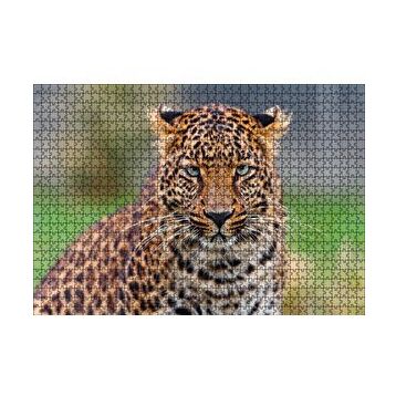 Cakapuzzle Genç Leopar 120 Parça Ahşap Puzzle