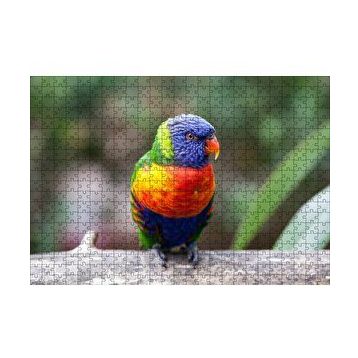 Cakapuzzle Gökkuşağı Lorikeet Papağanı 120 Parça Ahşap Puzzle