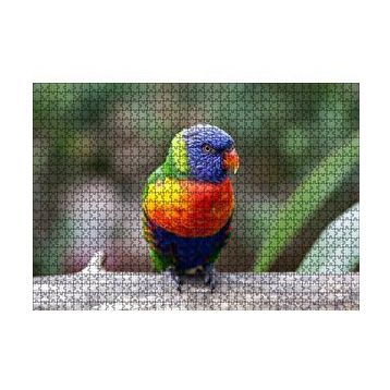 Cakapuzzle Gökkuşağı Lorikeet Papağanı 120 Parça Ahşap Puzzle