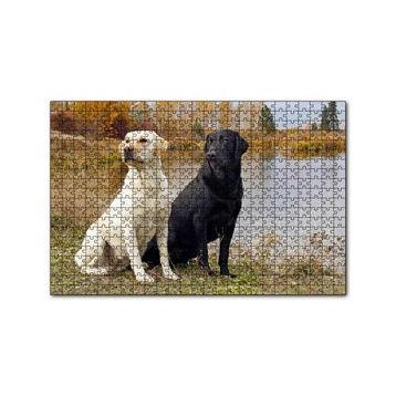 Cakapuzzle Göl Kenarındaki Beyaz ve Siyah Labradorlar 120 Parça Ahşap Puzzle