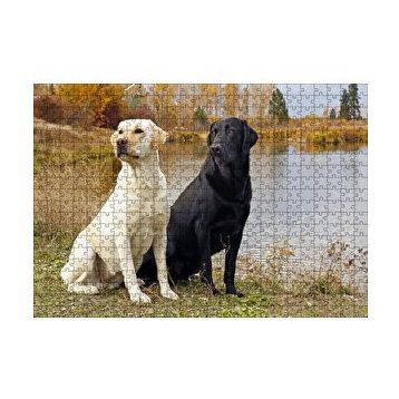 Cakapuzzle Göl Kenarındaki Beyaz ve Siyah Labradorlar 120 Parça Ahşap Puzzle