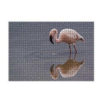 Cakapuzzle Gölde Avlanan Flamingo 120 Parça Ahşap Puzzle