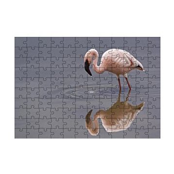 Cakapuzzle Gölde Avlanan Flamingo 120 Parça Ahşap Puzzle