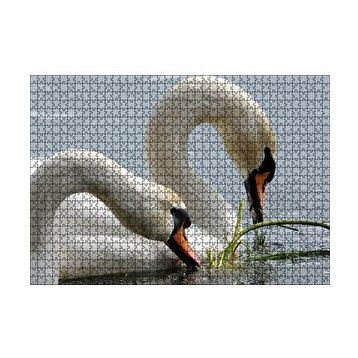 Cakapuzzle Gölde Beslenen Bir Çift Beyaz Kuğu 120 Parça Ahşap Puzzle