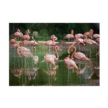 Cakapuzzle Gölde Flamingolar 120 Parça Ahşap Puzzle