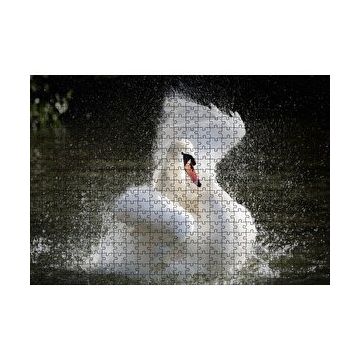 Cakapuzzle Gölde Kanatlarını Temizleyen Beyaz Kuğu 120 Parça Ahşap Puzzle